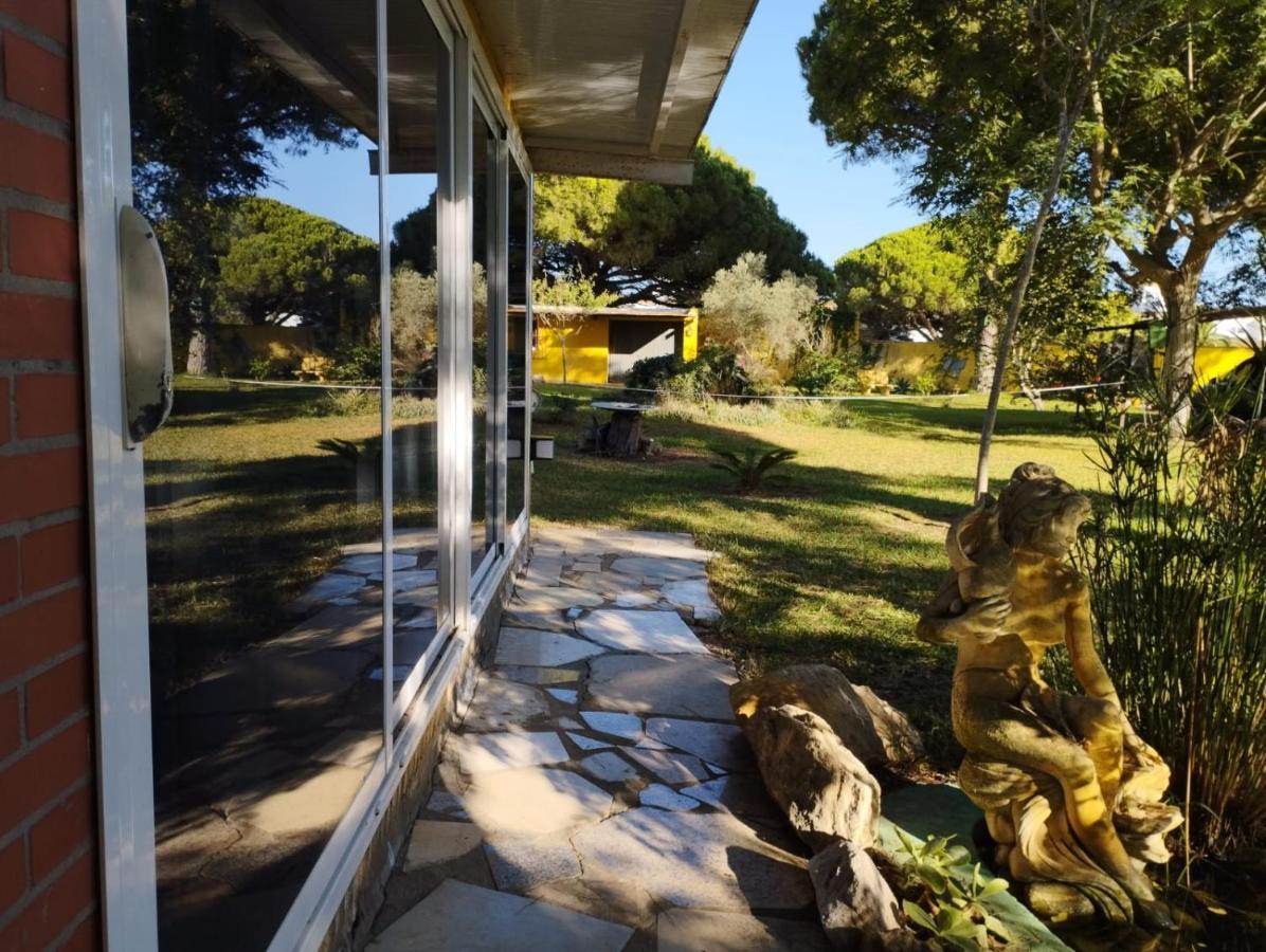 Jacaranda Lejlighed Cádiz Eksteriør billede